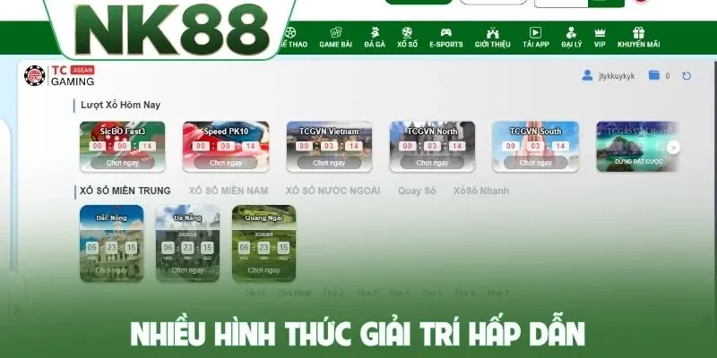 Nhiều hình thức giải trí hấp dẫn