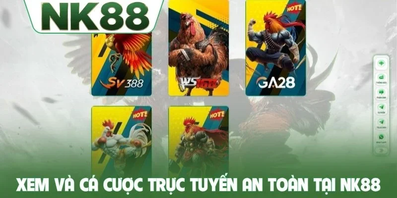 Xem và cá cược trực tuyến an toàn tại NK88